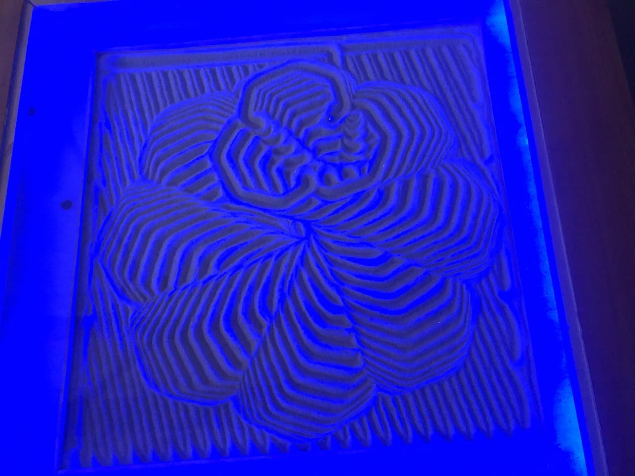 Deep blue ambient lighting on geometric sand petals